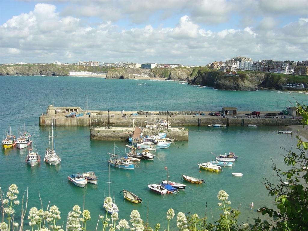 Abreakaway Lodge New Quay エクステリア 写真